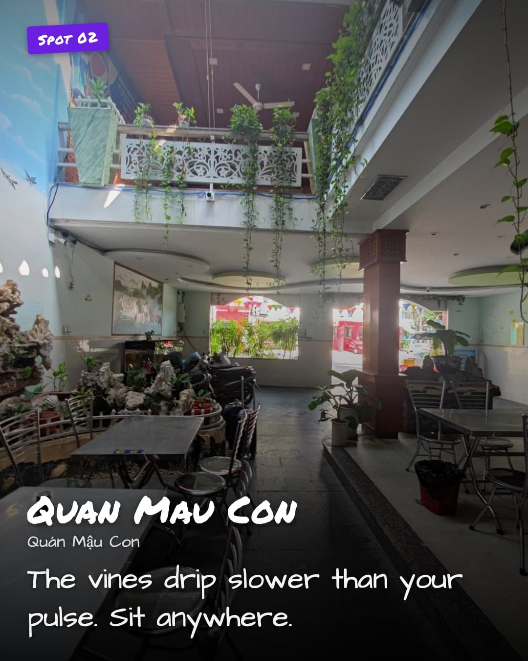 Quán Mậu Con courtyard with vines