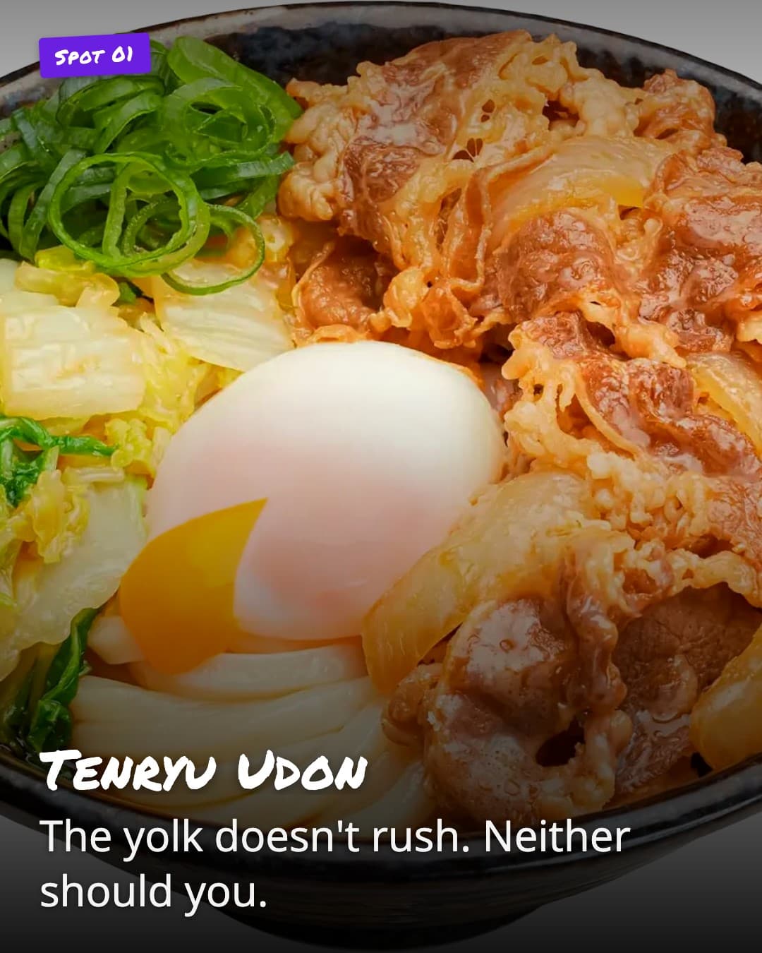 Tenryu Udon beef bowl