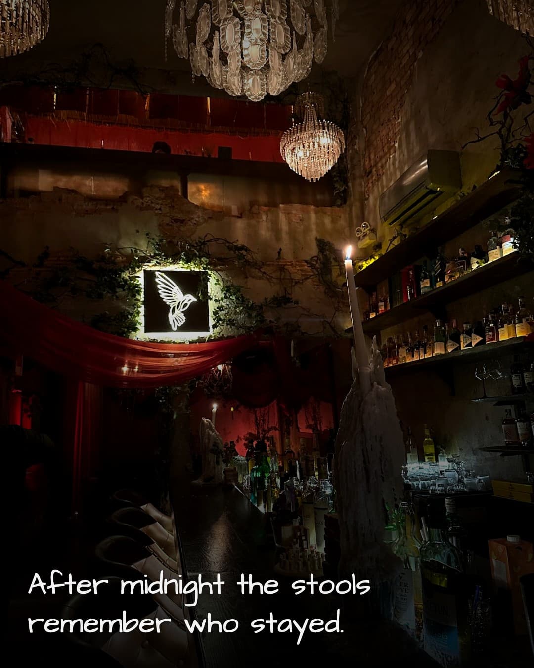 Lost Birds Cocktail & Whiskey Bar empty stools