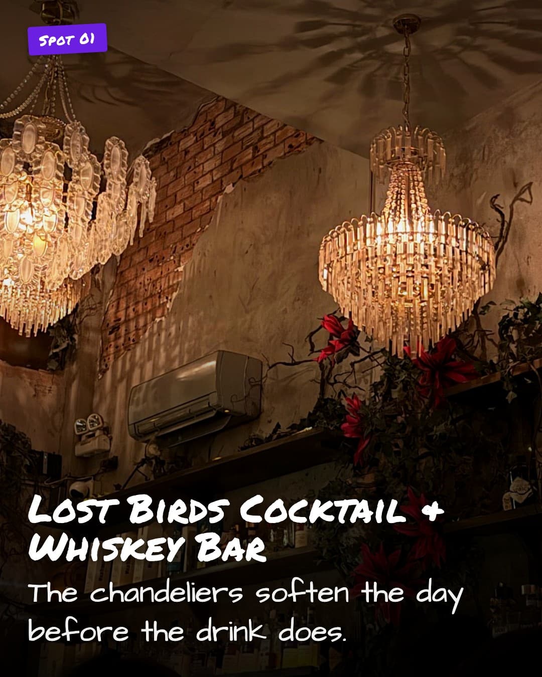 Lost Birds Cocktail & Whiskey Bar chandelier