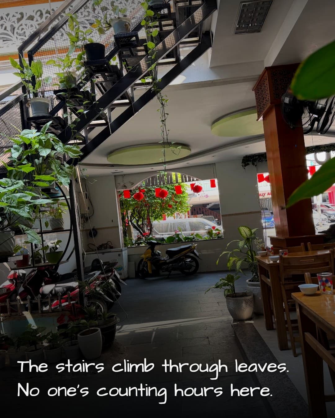 Quán Mậu Con staircase through plants