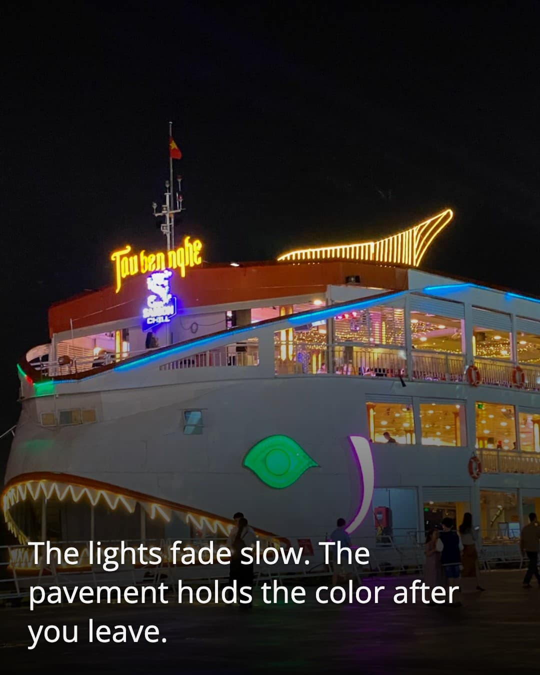 Saigon River sightseeing cruise night dock