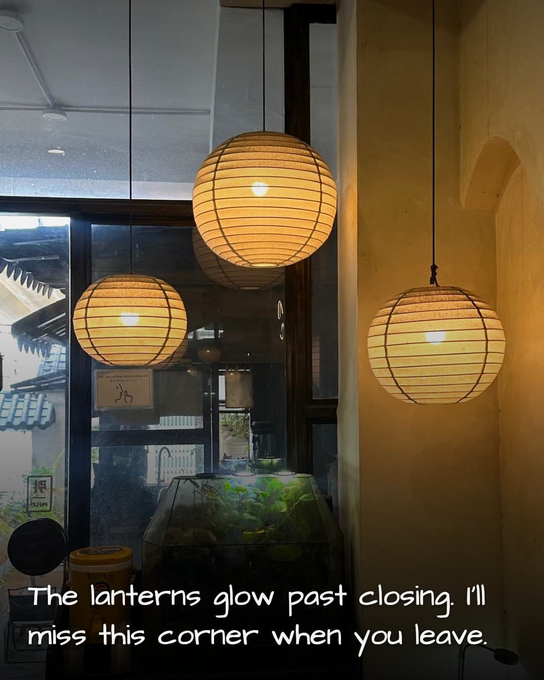 Laure café & Terrarium lantern corner