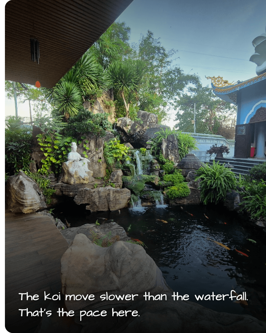 Ba Da Pagoda koi pond