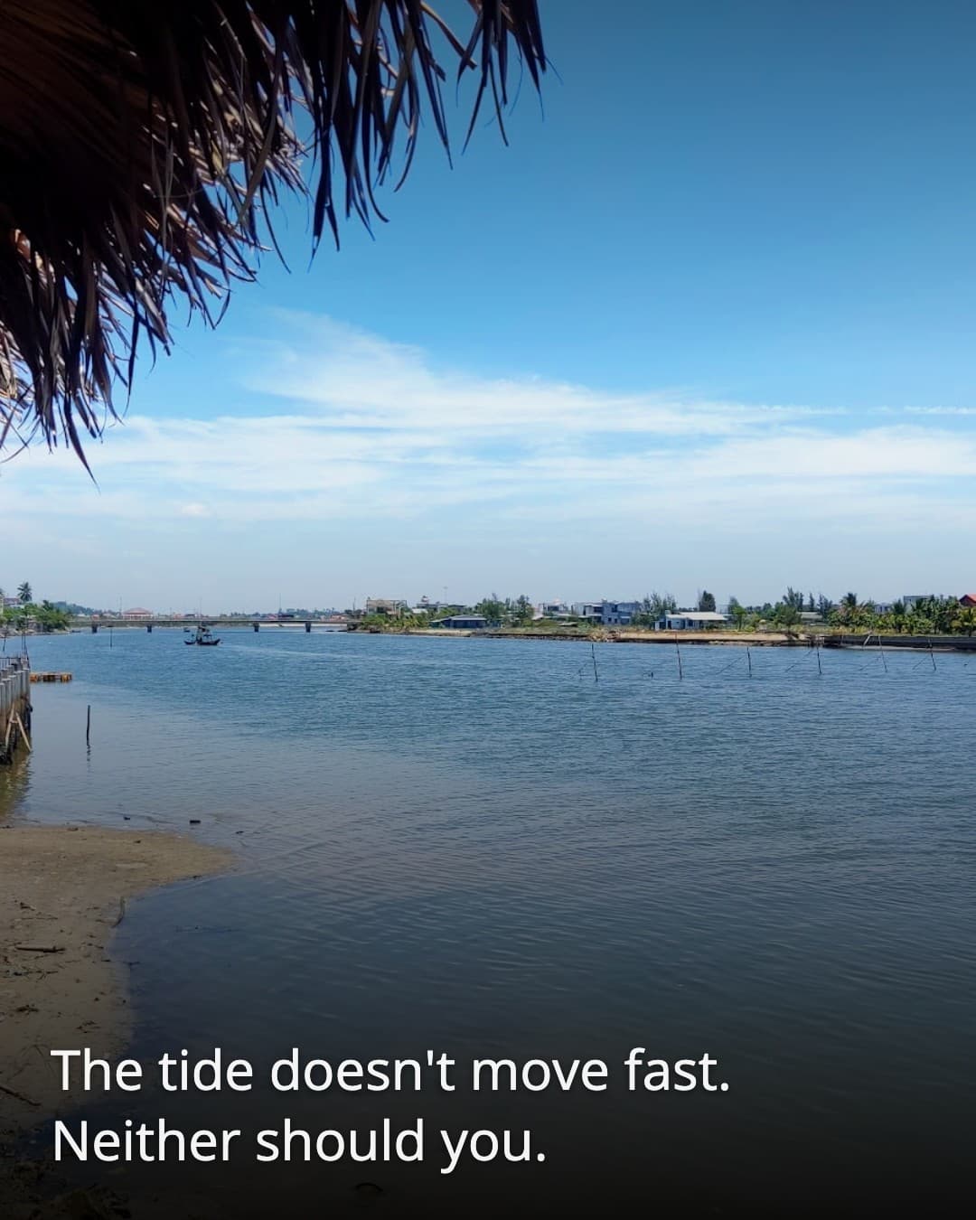Quan Bay Tam Thanh riverbank