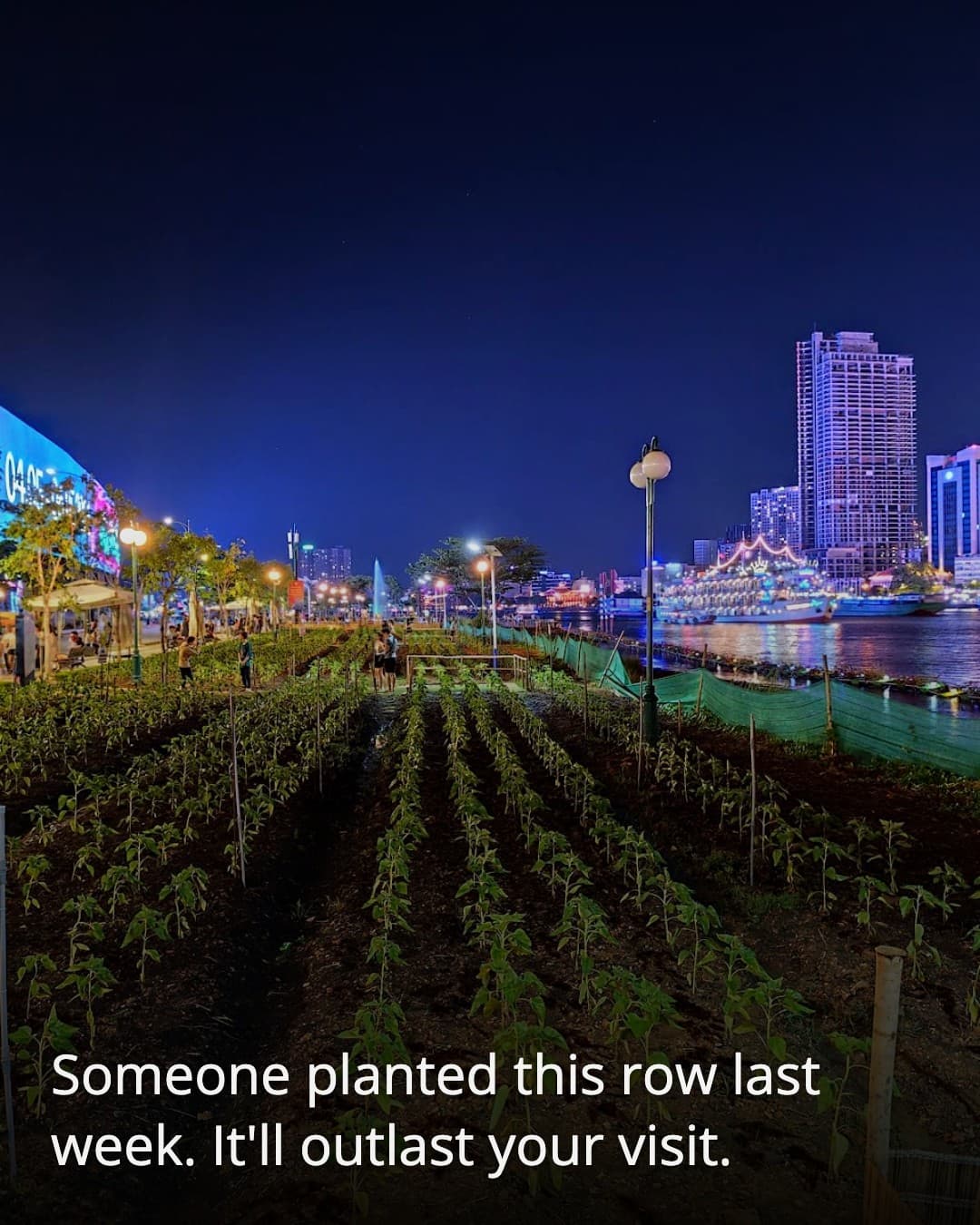 Riverside Park garden beds