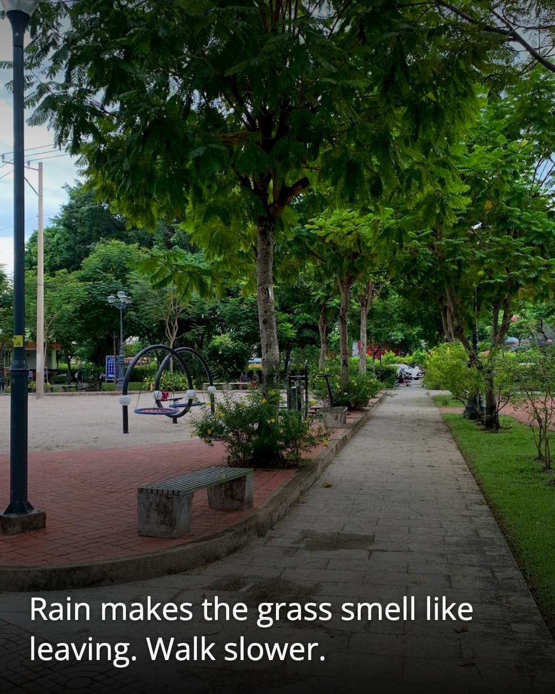 Thao Dien Park wet path