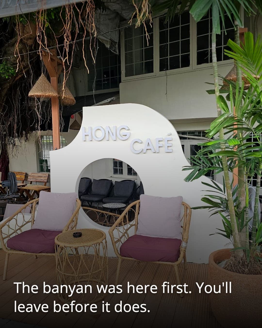 Hong Cafe banyan tree courtyard