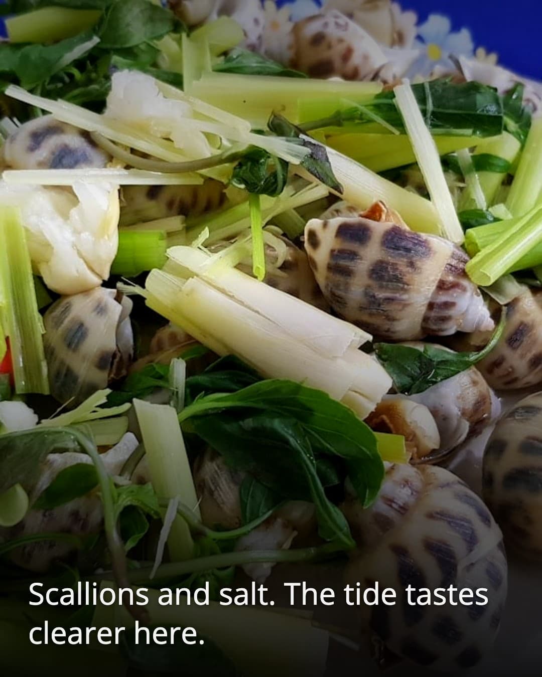 Quan Tam Noi steamed sea snails