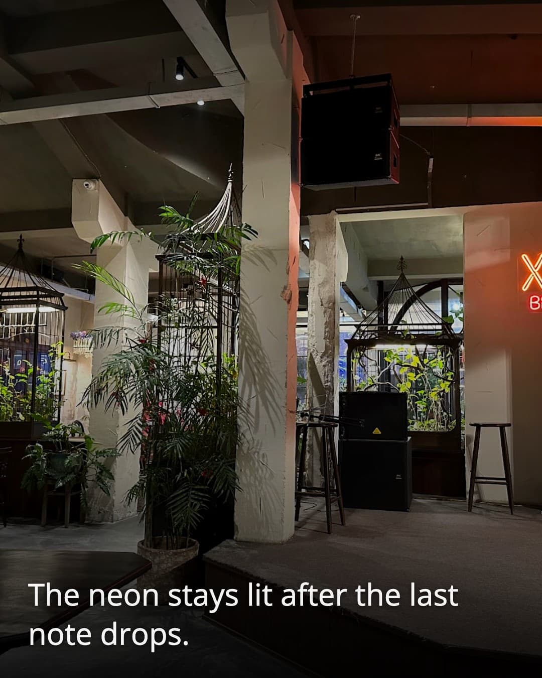 Xi-nê Bistro & Jazz stage after the set